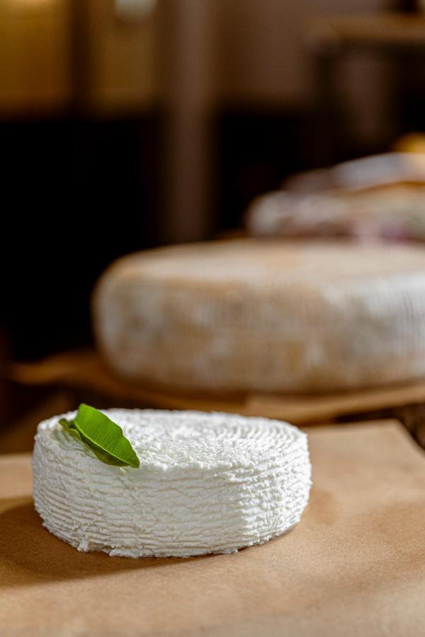 Agriturismo La Dolza Follina Ngoại thất bức ảnh