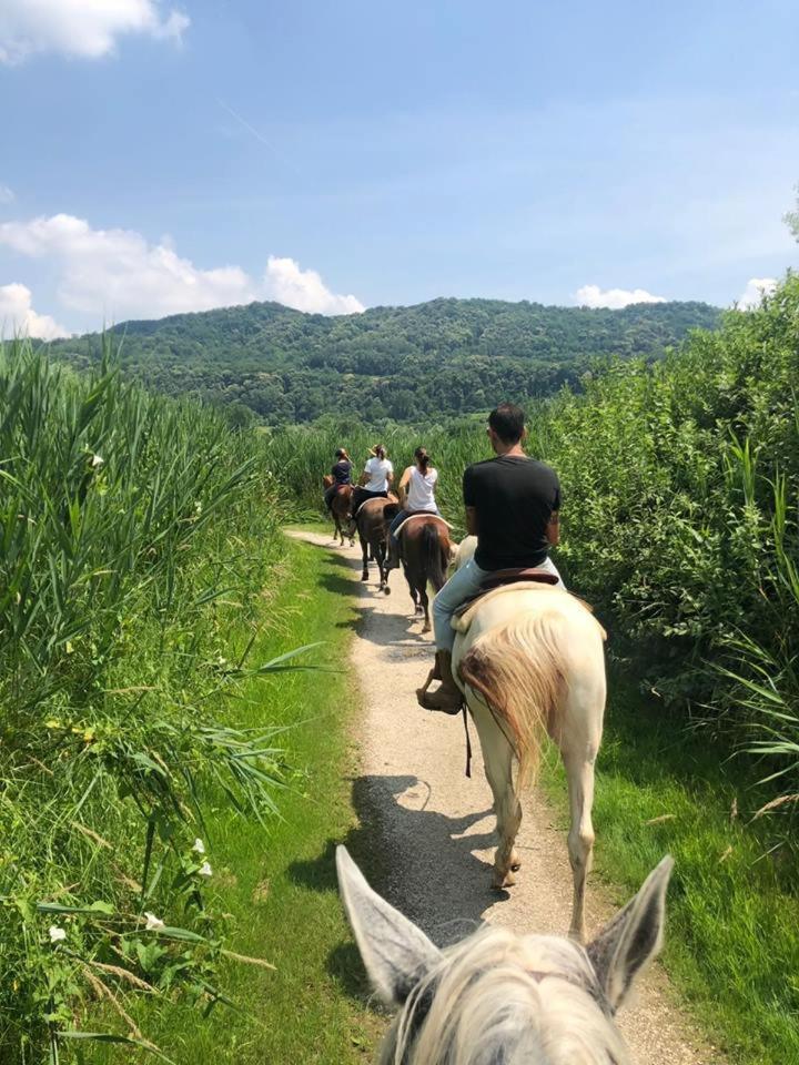 Agriturismo La Dolza Follina Ngoại thất bức ảnh